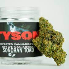 Sonoran Toad Strain Weed